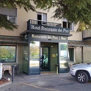 Dei Pini Hotel Medolago